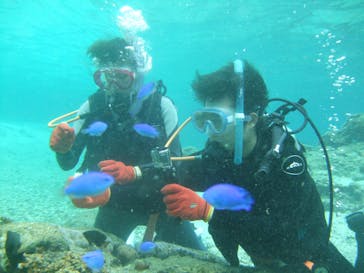 沖縄ダイビングショップシーモールに投稿された画像（2019/2/25）