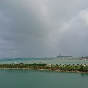 Sea World（シーワールド）に投稿された画像（2018/6/1）