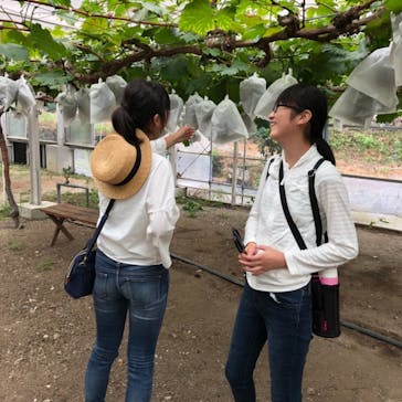 くぼ農園に投稿された画像（2018/9/2）