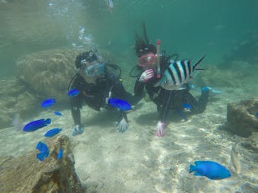 武藤潜水に投稿された画像（2018/3/22）