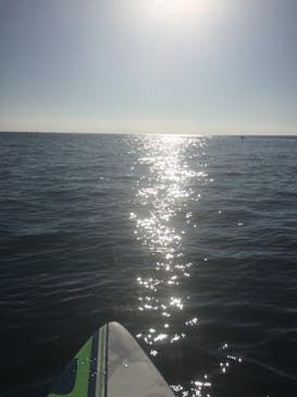 TOMO's スタンドアップパドルボーディングスクールに投稿された画像（2017/12/4）