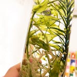 ずこうしつ〜sugamo〜に投稿された画像（2019/5/18）