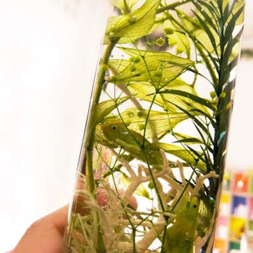 ずこうしつ〜sugamo〜に投稿された画像（2019/5/18）