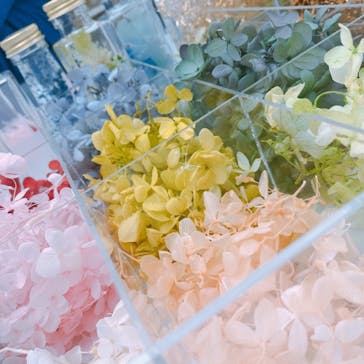 ずこうしつ〜sugamo〜に投稿された画像（2019/4/23）