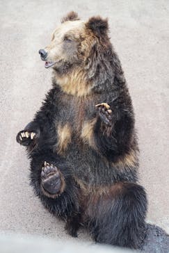 阿蘇カドリー・ドミニオンに投稿された画像（2018/12/30）