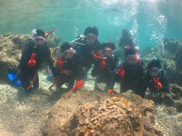 沖縄ダイビングショップシーモールに投稿された画像（2019/3/17）