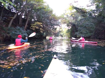 カヌーリゾートたまよどに投稿された画像（2018/11/19）