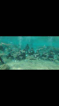 青の洞窟専門店　沖縄ダイビングショップ和に投稿された画像（2018/3/26）