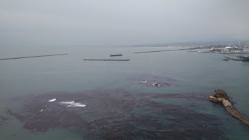 松島熱気球・パラグライダー体験に投稿された画像（2019/4/21）