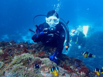 アクオス-イズに投稿された画像（2019/2/19）