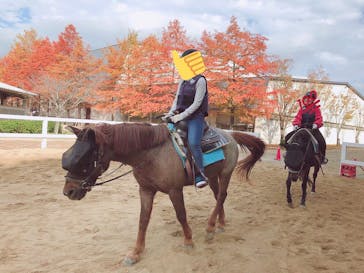 MIKIホーストレックに投稿された画像（2018/11/9）