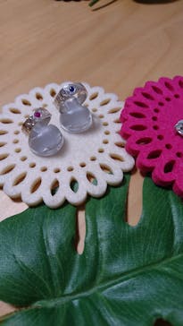 銀のイルカに投稿された画像（2018/12/10）