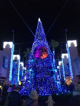 ひらかたパークに投稿された画像（2018/11/23）