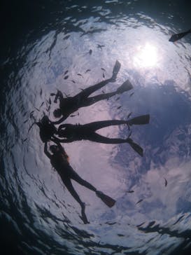 diving&workshop IHANASHI（ダイビングアンドワークショップイハナシ）に投稿された画像（2018/7/22）