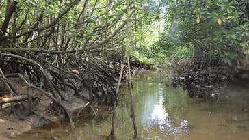 Nice Time okinawa（ナイスタイムオキナワ）に投稿された画像（2019/4/20）