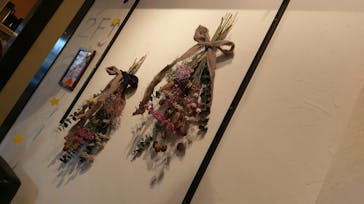 WAKAに投稿された画像（2017/10/27）