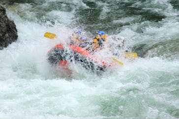 ネイチャー・ナビゲーター（みなかみ）に投稿された画像（2018/5/16）