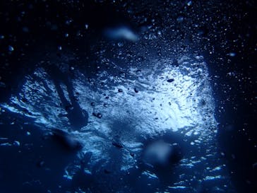 ダイビングショップ Sea Free（シーフリー）に投稿された画像（2019/3/18）