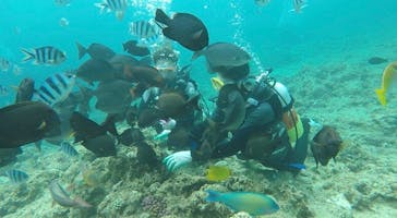 青の洞窟専門店　沖縄ダイビングショップ和に投稿された画像（2018/6/11）