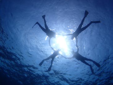 WILD BLUE宮古島に投稿された画像（2018/5/3）