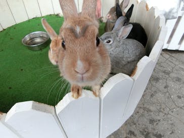 那須ハイランドパークに投稿された画像（2019/5/5）