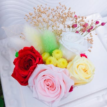 ずこうしつ〜sugamo〜に投稿された画像（2019/3/14）