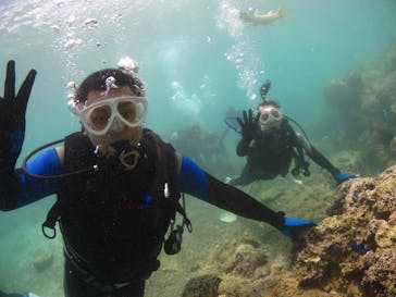 diving&workshop IHANASHI（ダイビングアンドワークショップイハナシ）に投稿された画像（2018/7/17）