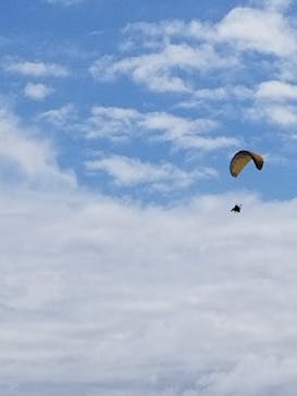 松島熱気球・パラグライダー体験に投稿された画像（2018/9/11）