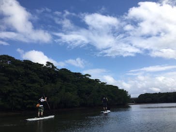 CHOROに投稿された画像（2018/11/14）