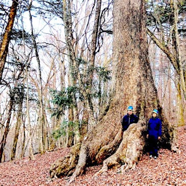 THE HIGHEST PEAKに投稿された画像（2019/1/4）