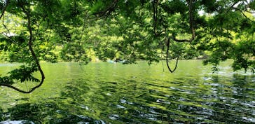 カヌーリゾートたまよどに投稿された画像（2019/5/12）