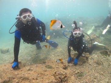 diving&workshop IHANASHI（ダイビングアンドワークショップイハナシ）に投稿された画像（2018/7/17）
