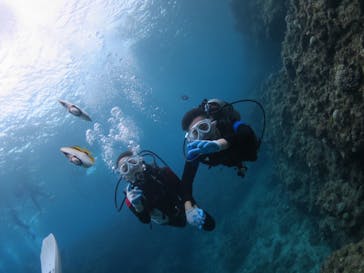diving&workshop IHANASHI（ダイビングアンドワークショップイハナシ）に投稿された画像（2018/9/7）