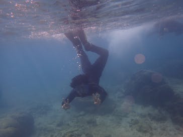 ダイビングショップ Sea Free（シーフリー）に投稿された画像（2018/11/27）