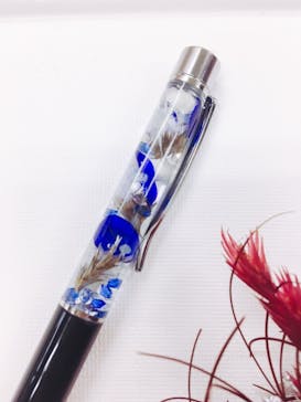 ずこうしつ〜sugamo〜に投稿された画像（2019/6/7）