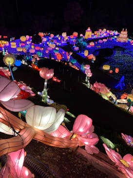 伊豆ぐらんぱる公園に投稿された画像（2018/12/21）