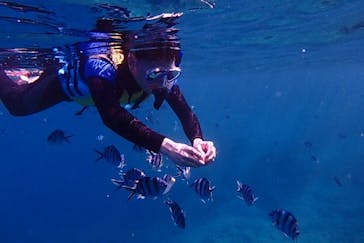 diving&workshop IHANASHI（ダイビングアンドワークショップイハナシ）に投稿された画像（2019/4/6）