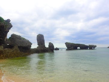 ダイビングショップ Sea Free（シーフリー）に投稿された画像（2018/11/27）