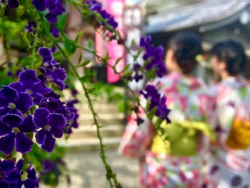 着物レンタルVASARA 浅草寺店に投稿された画像（2018/8/7）