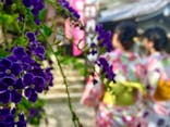 着物レンタルVASARA 浅草寺店に投稿された画像（2018/8/7）