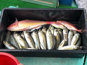 SUNNY FISHING（サニーフィッシング）に投稿された画像（2019/4/24）