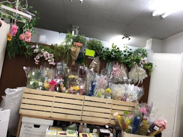 ずこうしつ〜sugamo〜に投稿された画像（2019/1/26）