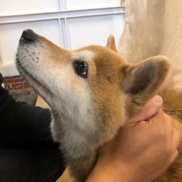 NAGI JEWELRY SCHOOLに投稿された画像（2018/5/22）