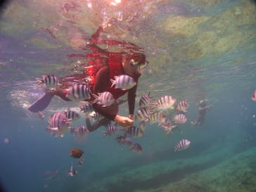 diving&workshop IHANASHI（ダイビングアンドワークショップイハナシ）に投稿された画像（2018/6/26）