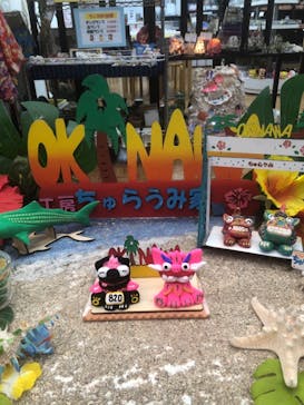 工房ちゅらうみ家に投稿された画像（2019/2/3）