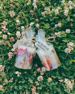 une graine（アングレンヌ）に投稿された画像（2019/5/13）