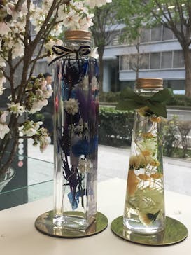 Apertio Floris（アペルティオーフローリス）に投稿された画像（2018/4/5）