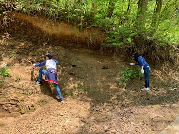 海の京都DMOツアーセンターに投稿された画像（2019/5/8）