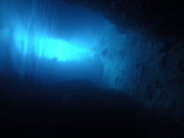 武藤潜水に投稿された画像（2017/11/27）