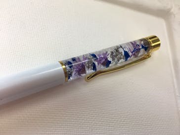 ずこうしつ〜sugamo〜に投稿された画像（2019/2/2）